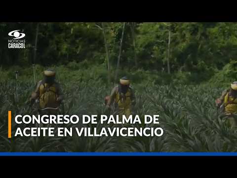 Así se vivió la Conferencia Nacional sobre la Palma de Aceite en Villavicencio
