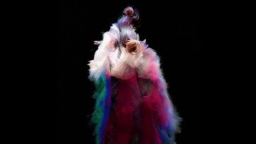 GAN AI Art breeder test 1