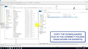 How to install MT4 Plugins