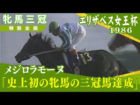 【中古】 メジロラモーヌ物語 初の牝馬三冠/三恵書房/大寺駿 Yahoo!オークション - 競馬 メジロラモーヌ物語 河内洋 三恵書房