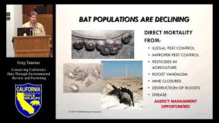 Conserving California’s Bats Through Environmental Review and Permitting