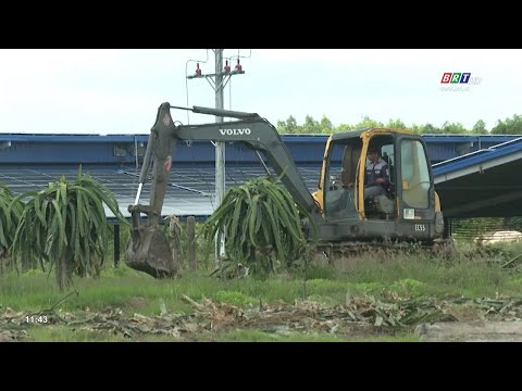 Video Càng đầu tư càng lỗ nông dân huyện Xuyên Mộc chặt bỏ... - youtube