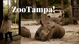 ZooTampa at Lowry Park: 2023 Tour of this TOP TEN Zoo!