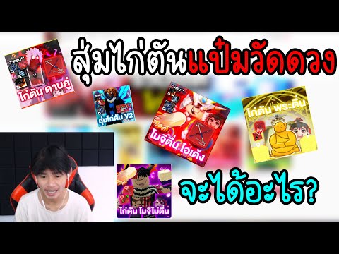 Blox Fruits สุ่มไก่ตันแป๋มวัดดวงจะคุ้มแค่ไหน?