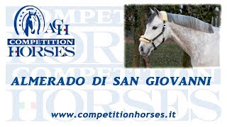 Almerado Di San Giovanni Secondo Posto Csiyh Equieffe Equestrian Centre