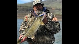 Best Walleye plugs for early spring on the Columbia River