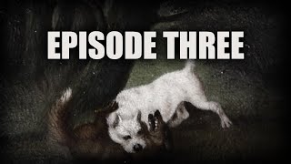 EPISODE THREE  THE BATTLE BRED K9S PROJECT  THE TERRIER