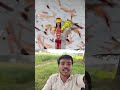 viral shorts trending YouTube #explore #youtuber