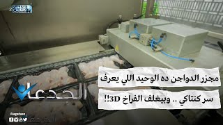 مجزر الدواجن ده الوحيد اللي يعرف سر كنتاكي .. وبيغلف الفراخ 3D!!