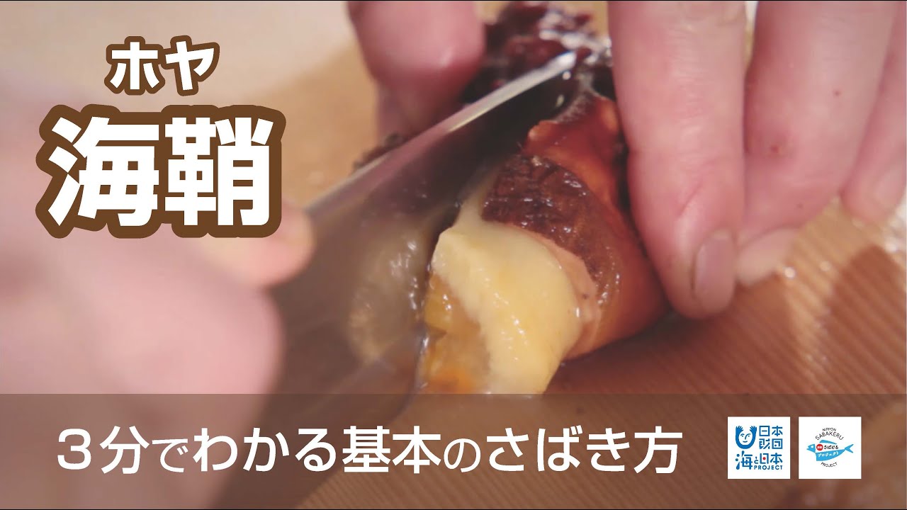 海鞘 ほや のさばき方 How To Filet Sea Squirt 日本さばけるプロジェクト 海と日本プロジェクト Youtube