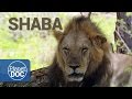 Documental Completo | Shaba. La Tierra de Dios y el Diablo - Planet Doc