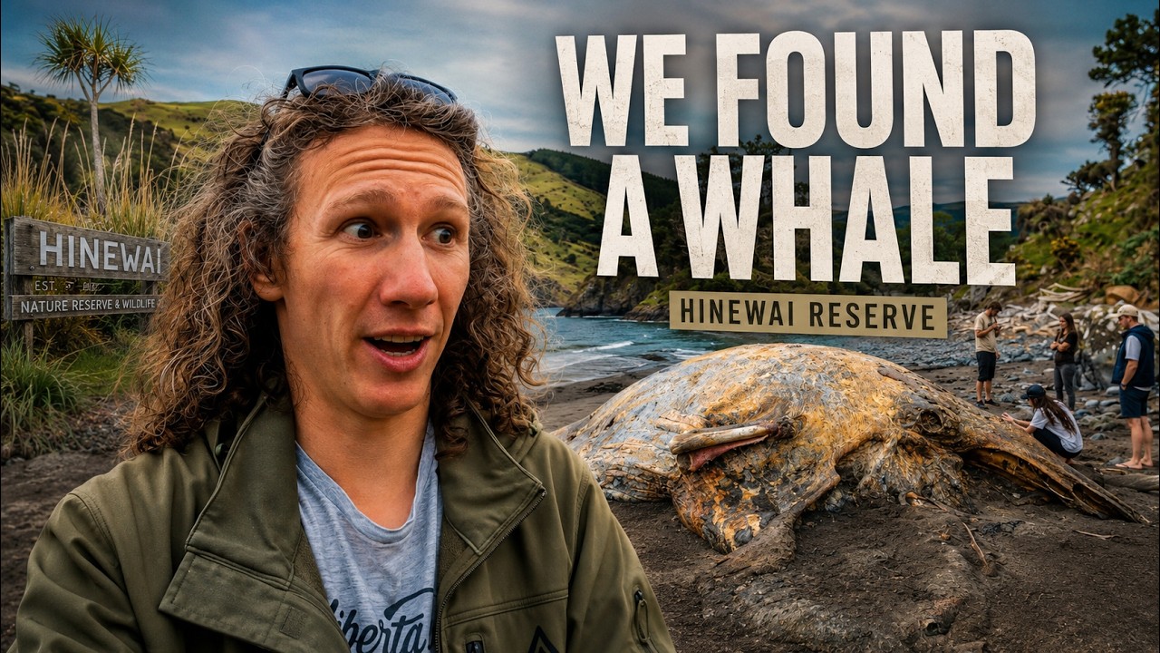 The Scenic Route Hinewai Reserve episode thumbnail