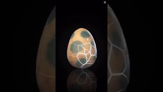 CryptoZoo Hatch