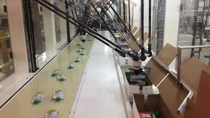 4 Delta Robots Pick & Pack Food Pouches in Automated Top Load Cartoner - StrongPoint Automation