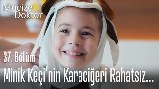Minik Keçinin Karaciğeri Rahatsız... - Mucize Doktor 37. Bölüm