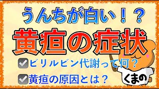 イラストで学ぶ医学！「黄疸でうんちが白っぽくなる原因とは？」ビリルビン代謝や黄疸の病態を解説！