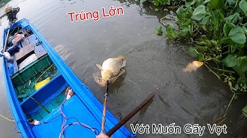 Trúng Lớn Bầy Cá Khủng Vớt Muốn Gãy Vợt Trên Sông Tiền | Kích Cá Miền Tây | Catch Fish