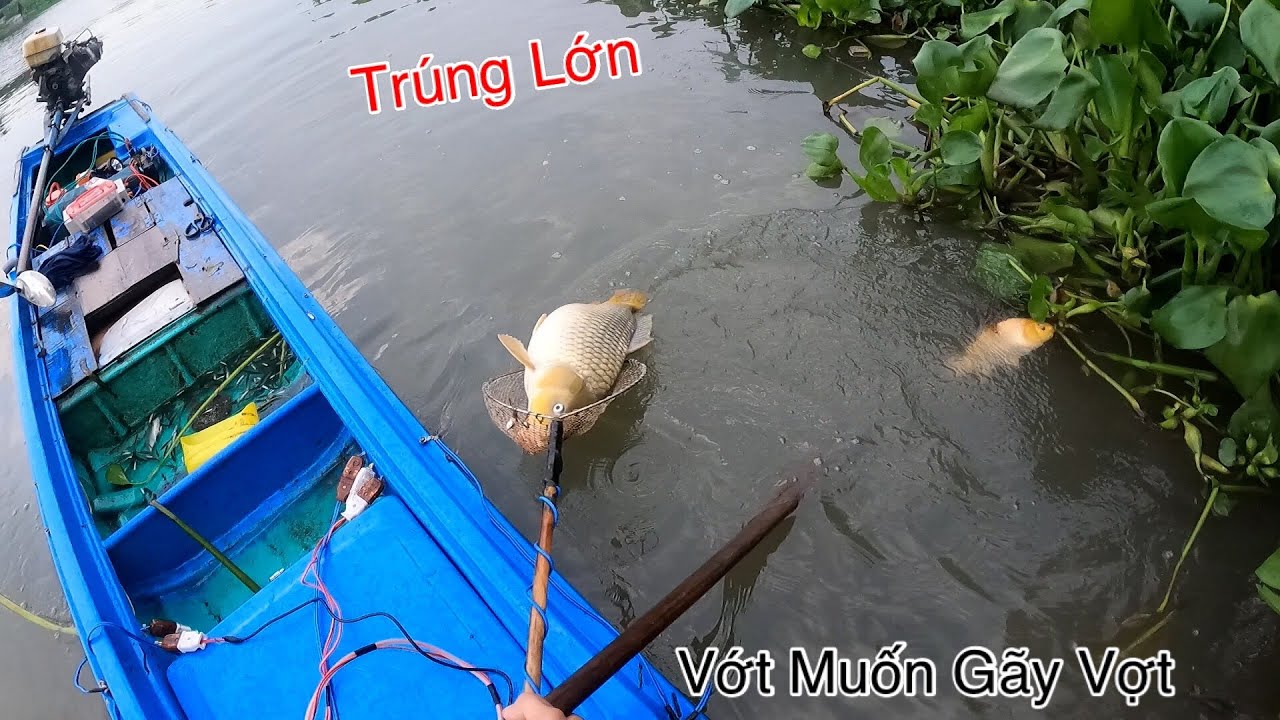 Trúng Lớn Bầy Cá Khủng Vớt Muốn Gãy Vợt Trên Sông Tiền | Kích Cá Miền Tây | Catch Fish