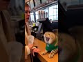 Aggressive cashier #funny #cat #sora