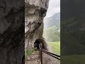 Where heaven touches earth – Lauterbrunnen, Switzerland 🇨🇭✨