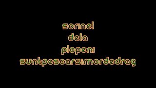 SORINEL DE LA PLOPENI SUNT PESCAR SI MOR DE DRAG
