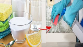 Më Në Fund Gjendet Zgjidhja, Largoni Mykun Nga Muret E Shtëpisë Me Vetëm Një Përbërës