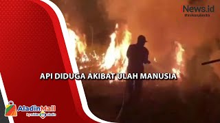 Api Lalap Puluhan Hektare Hutan Taman Nasional di Bombana