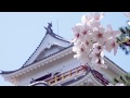 うららか -Sakura-