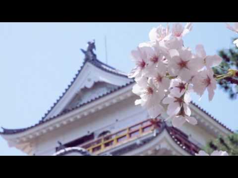 DRONE-BIZ（株式会社正文社印刷所ドローン事業部） 