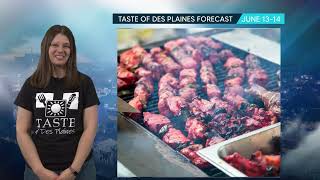 Taste of Des Plaines Report