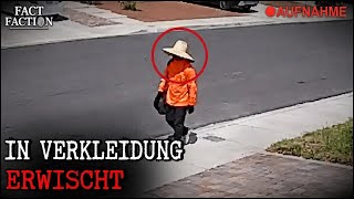 Der kleingeistige Politiker, der einen Journalisten jagte (Robert Telles)