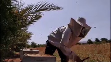 سورة النحل من الاية 68 الى الاية 69