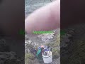 GOLD HOLE!