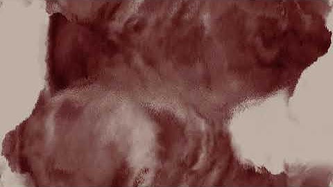 Tsyphur Zalan Visual Series || Josef Pelz x "Cave Phantoms"