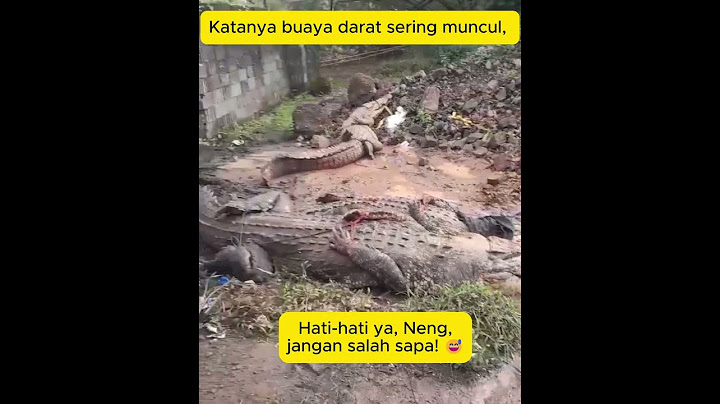 🎥 Geger di Cianjur: Buaya Bukan Darat Lagi, Neng! 🐊 #shorts #viralvideo #cianjur #buaya #kocak