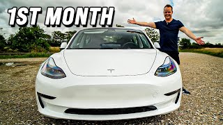 Owners Review of the Tesla Model 3 “Extra Long Range” RWD 2023