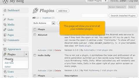 Managing your plugins in WordPress by VodaHost web hosting