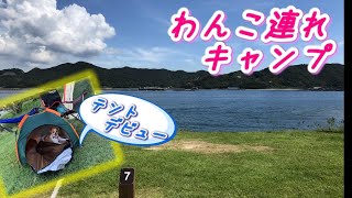 ミックス犬ころ介ワンコ用テントデビュー！目の前が全部海のキャンプ場へGo！！　We gave tent to pet dog♪