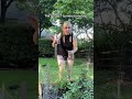 The tomato booster by Farmer’s Secret is a tomato plant fertilizer that will increase the fruit