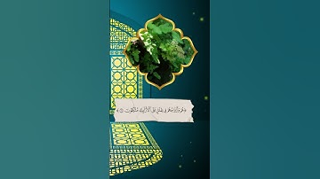 القارئ عبد العزيز سحيم 🎧✨ #عبد_العزيز_سحيم  #تلاوة_خاشعة #القرآن  #القرآن_الكريم  #quran #quotes