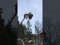 martinheljeved.se