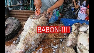 Skil pedagang ikan pinggir jalan Potong ikan kerapu BABON !!! | Grouper Cutting Skills