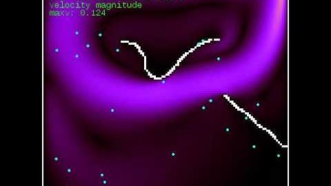 Sailfish LBM: Interactive Lid-Driven Cavity