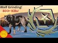 The Wolf Grind Returns! theHunter: Call of the Wild