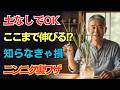 【驚きの裏技】水だけでにんにくがどんどん増える!土なしボトル栽培の真実