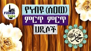 የነብዩ (ሰዐወ) ምርጥ ምርጥ ሀዲሶች... #5 | በሼኽ ኢብራሂም ሲራጅ