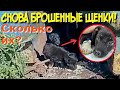 💔Щенки все в клещах / один шенок с судорогами 😭😱 / им нужно лечение /help save homeless puppies🙏