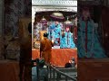 मंगला आरती षष्ठी   जयपुर के आराध्य देव ठाकुर जी श्री राधा गोविद देव जी महाराज