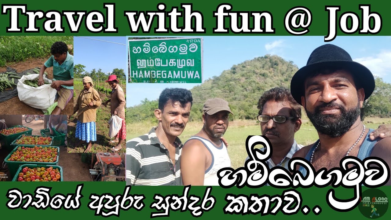 හම්බෙගමුව වාඩියේ නොහිතපු කතාව 😍 Unexpected story of the hambegamuwa sit-in 🤔