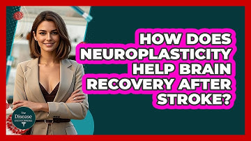 How Does Neuroplasticity Help Brain Recovery After Stroke? - The Disease Encyclopedia